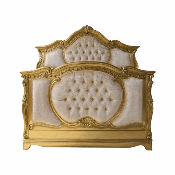 venus cot